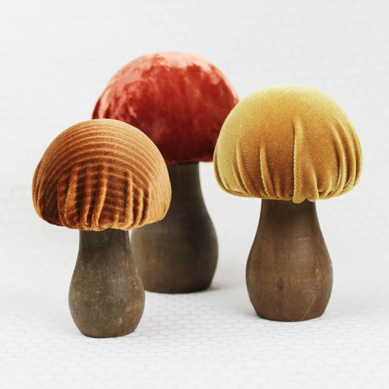 Amber Velvet Mushroom