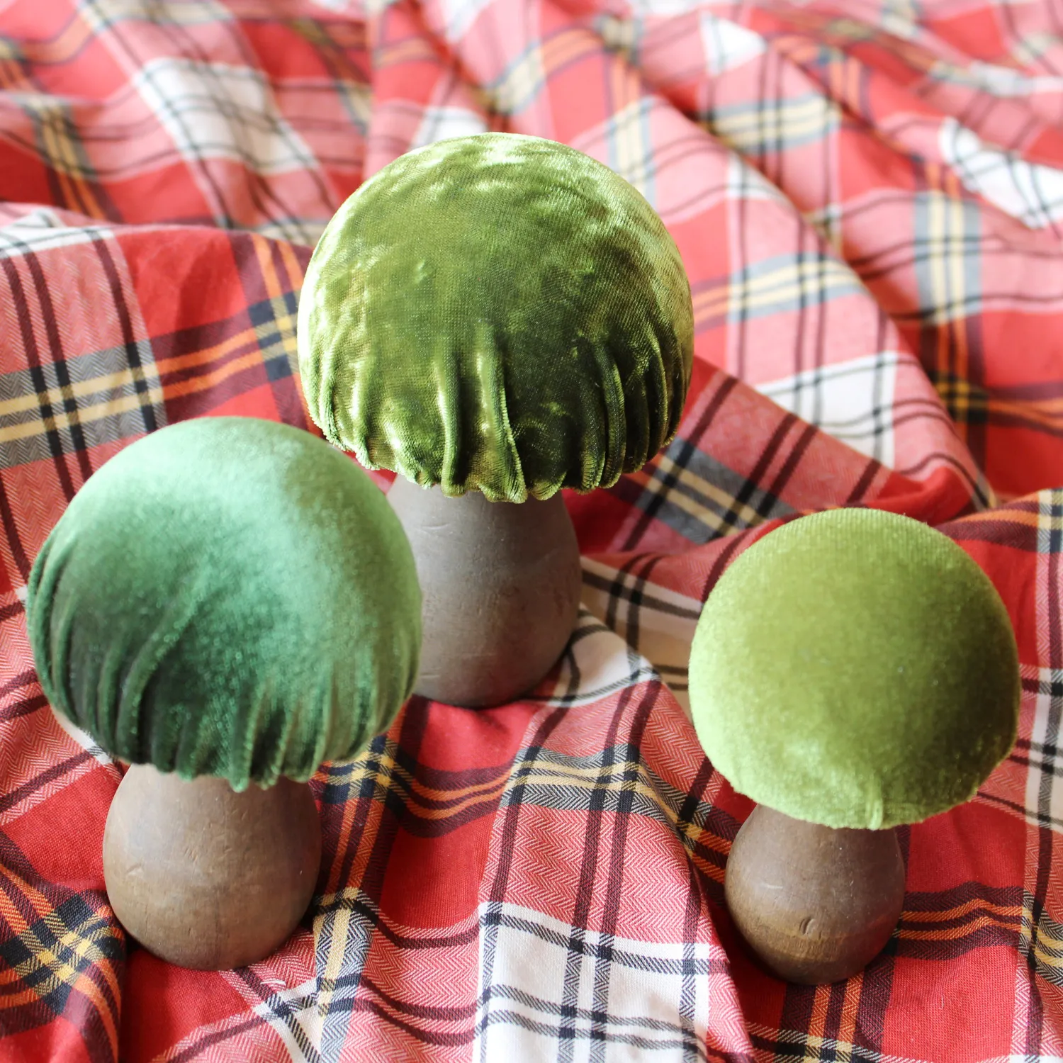 Verdant Velvet Mushroom